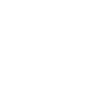 overchip branco